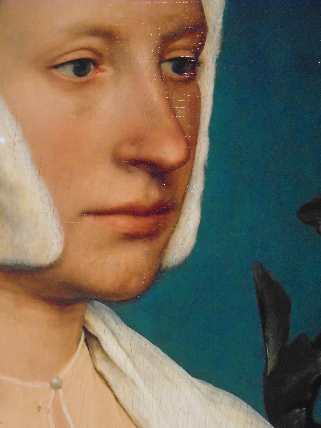 Holbein's Lady with Squirrel and Starling, on show in Brighton