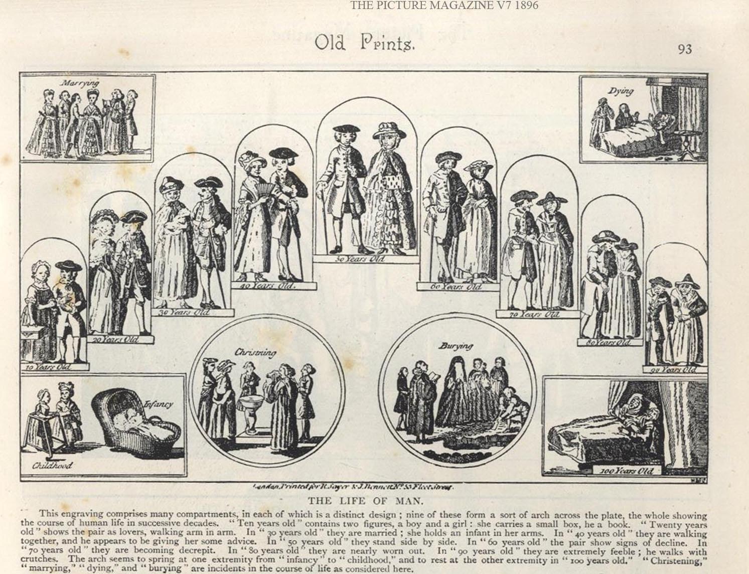 The Bridge of Life visual metaphor