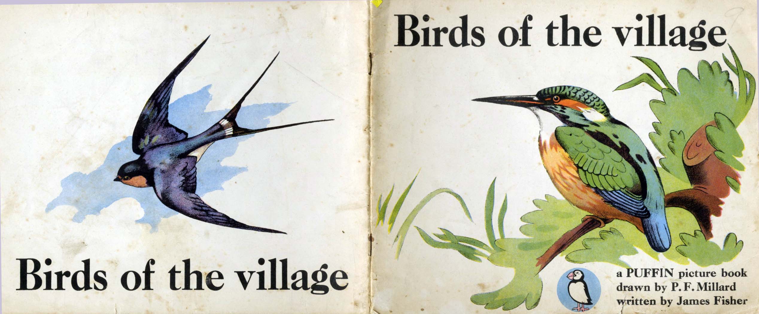 Puffin Picture Books, EJames Fisher, Birds of the Village