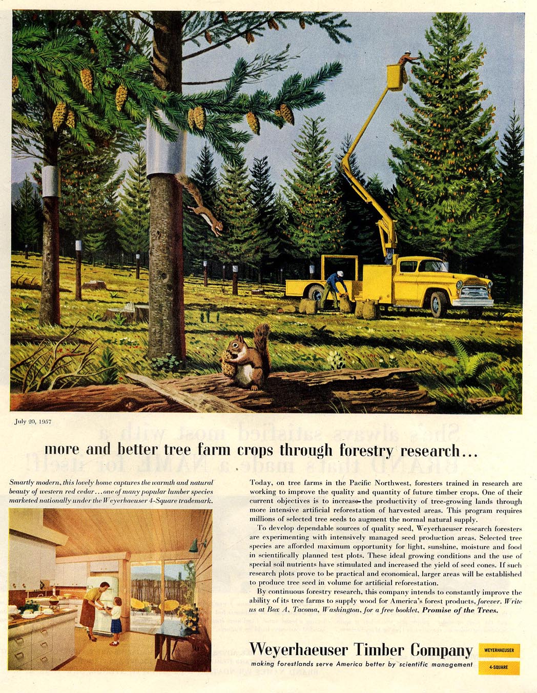 Illustrators for Weyerhaeuser, Bruce Bomberger