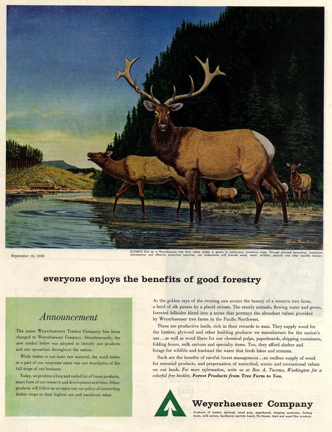 Illustrators for Weyerhaeuser, Bruce Bomberger