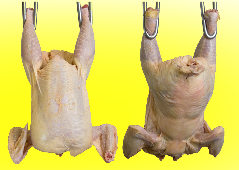 Shocking facts of eating chicken FunBuzzTime