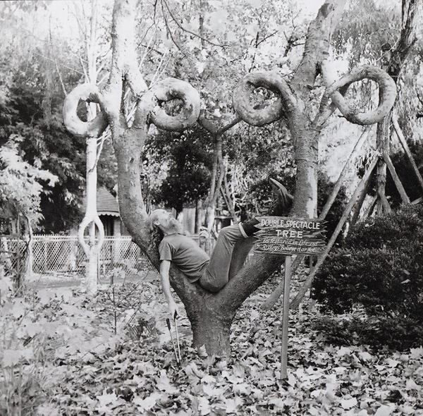 9 Living Tree Sculptures FunCage