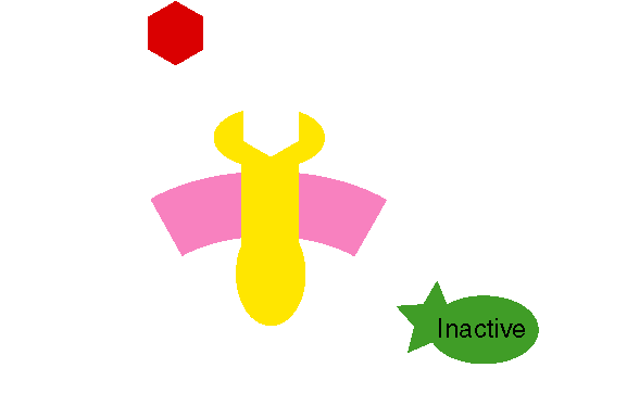 How Toxins can Disrupt Hormones and Make You Fat Functional Fitness Blog