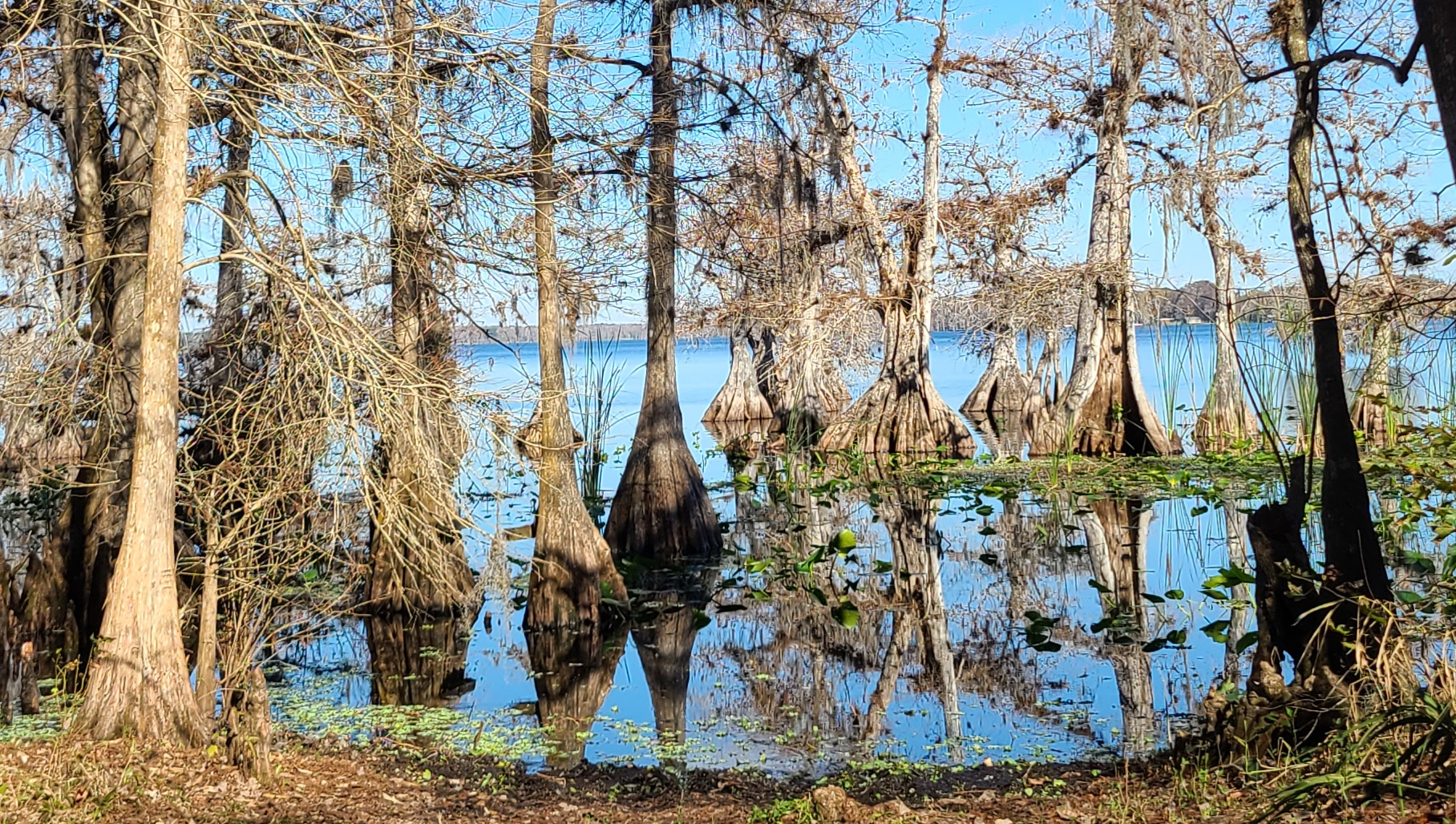 Southern Palms Eustis, FL Functionally Homeless