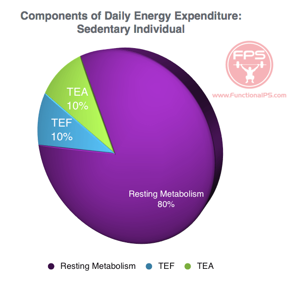 Components of Daily Energy Expenditure Functional Performance Systems