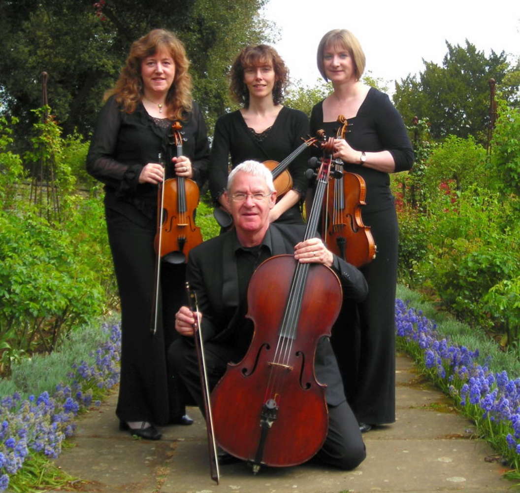 Harmonia String Quartet String Duo, Trio Or Quartet Leicestershire