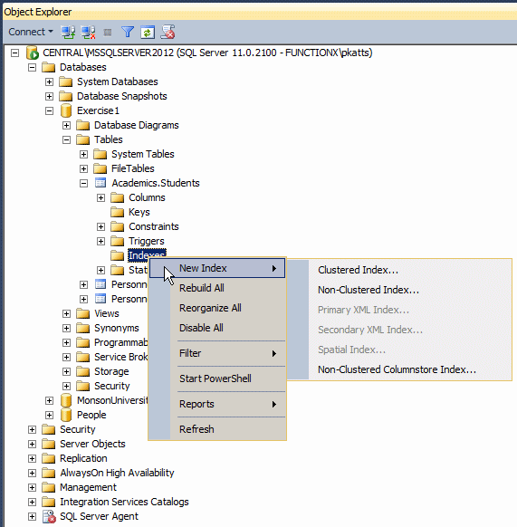 Microsoft SQL Server Lesson 30 Indexes
