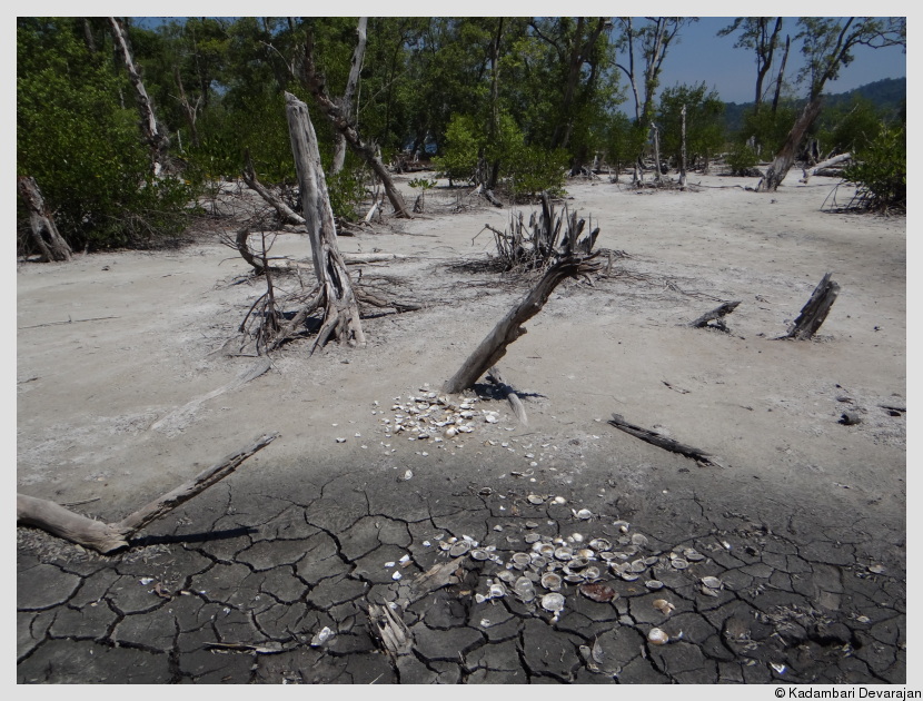 The Restaurant at the Edge of the Reef Fundamatics