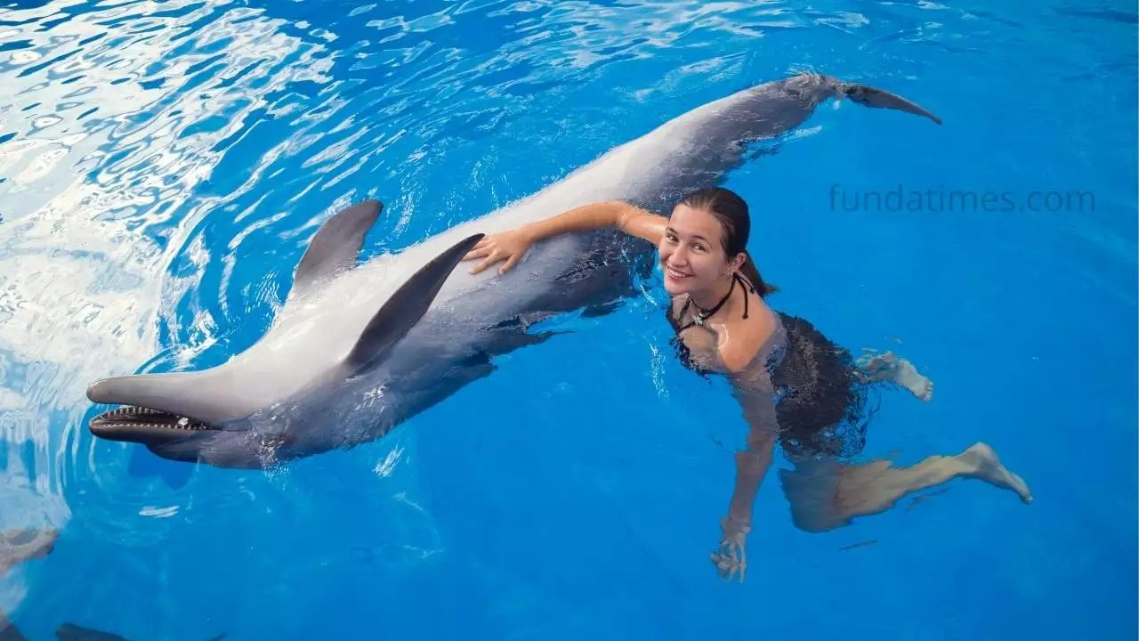 डॉल्फिन के रोचक तथ्य Interesting facts about Dolphin in Hindi