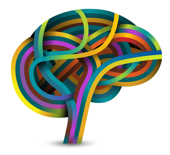 Brainbased Learning Learning Theory Funderstanding Education