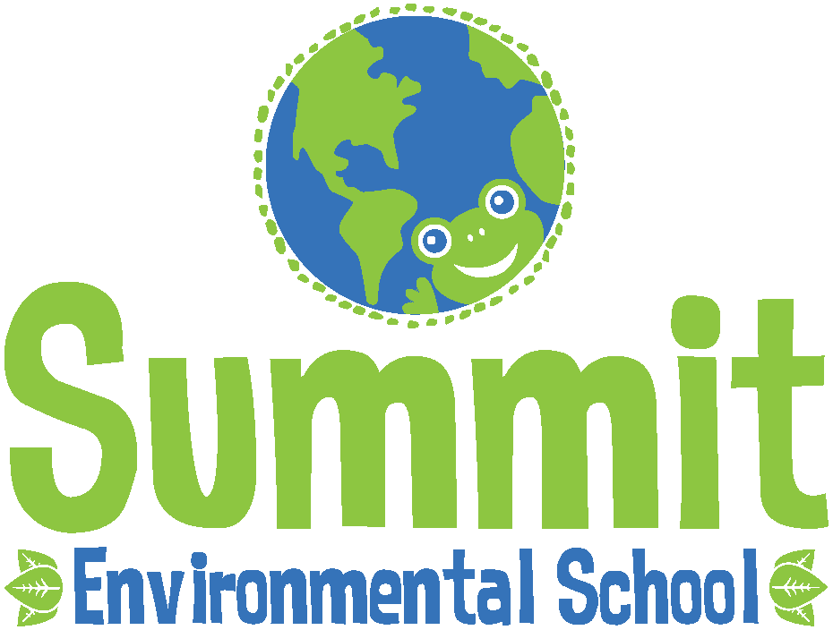 Summit Environmental School Brick Fundraiser Fundraising Brick