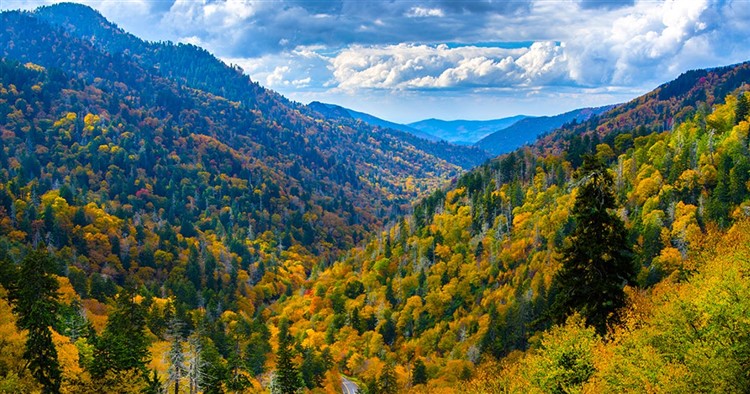 Fall Colors In Gatlinburg 2023