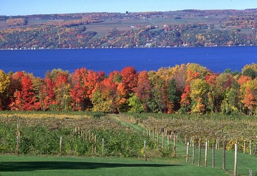 Finger Lakes Fall 2023 Events Finger Lakes Wine Country Fall Getaway