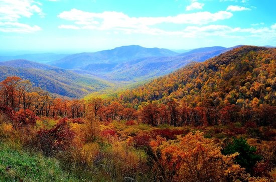 Smoky Mountain Fall Foliage 2023