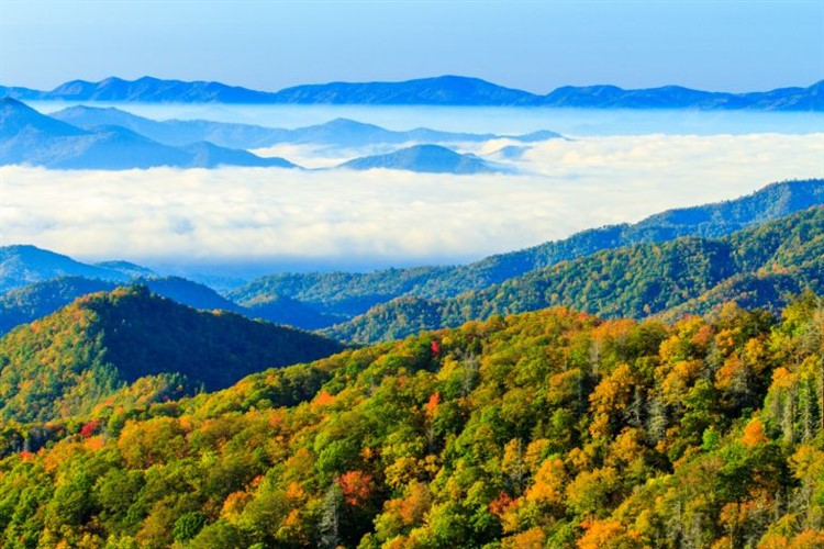 Smoky Mountain Fall Foliage 2023