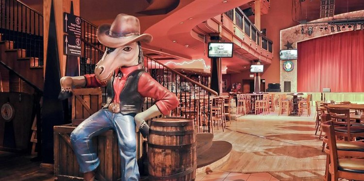 millpond music festival 2023 dates Music Roads with the Gaylord Opryland & Elvis Tribute Show