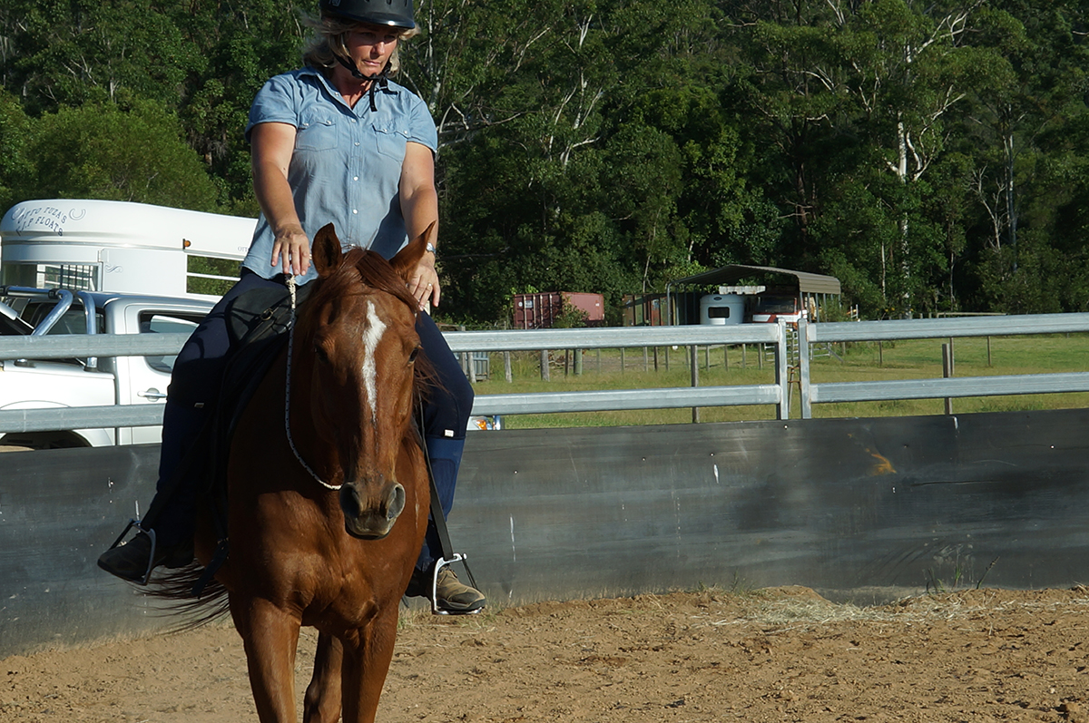 Why to use Circles in your horse training Part 2 FunHorseTraining
