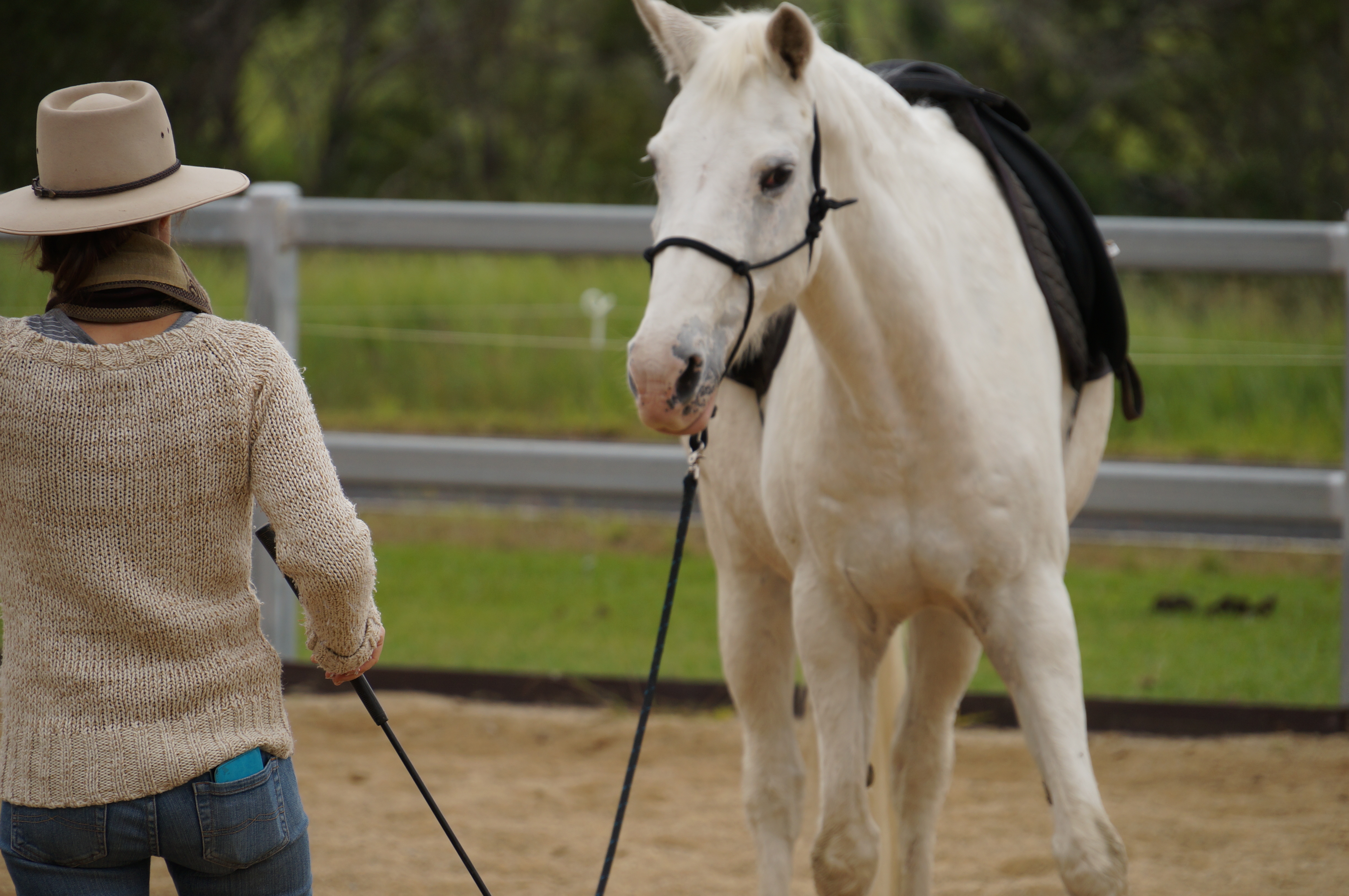 Keeping your horse training balanced FunHorseTraining