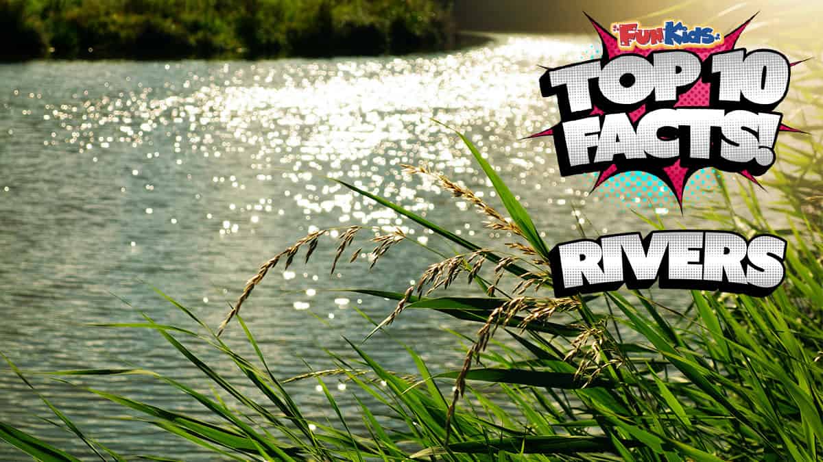 Top 10 Facts About Rivers! Fun Kids the UK's children's radio station