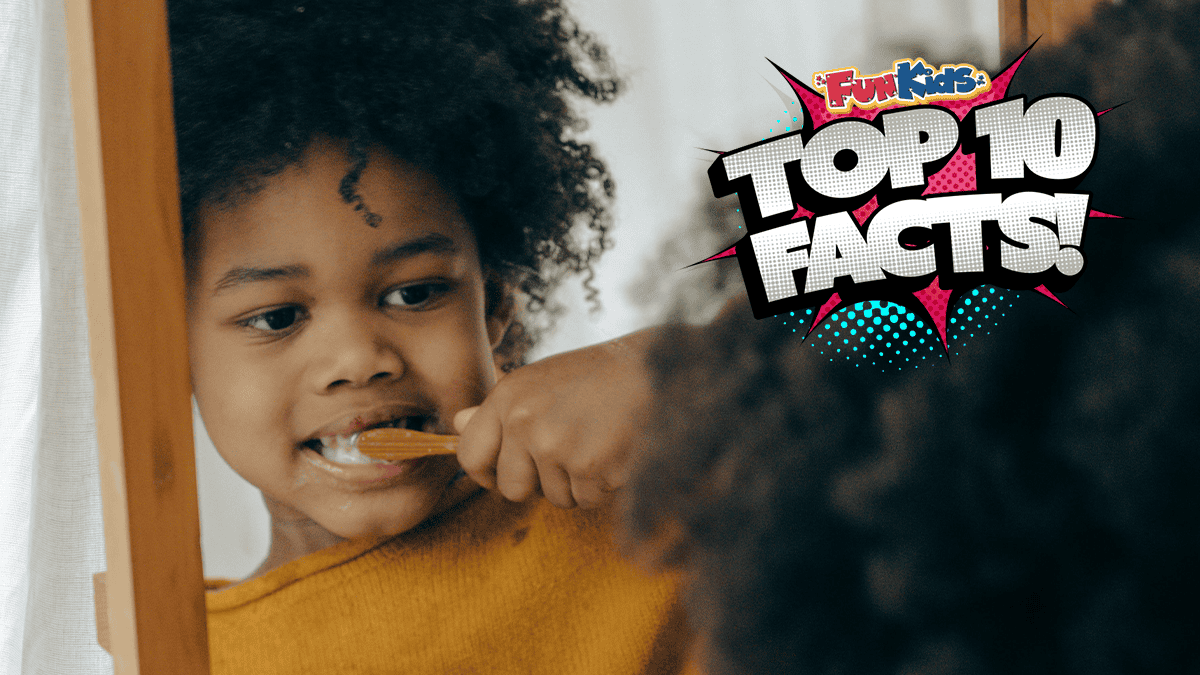 Top 10 Facts About Brushing Your Teeth! Fun Kids the UK's children