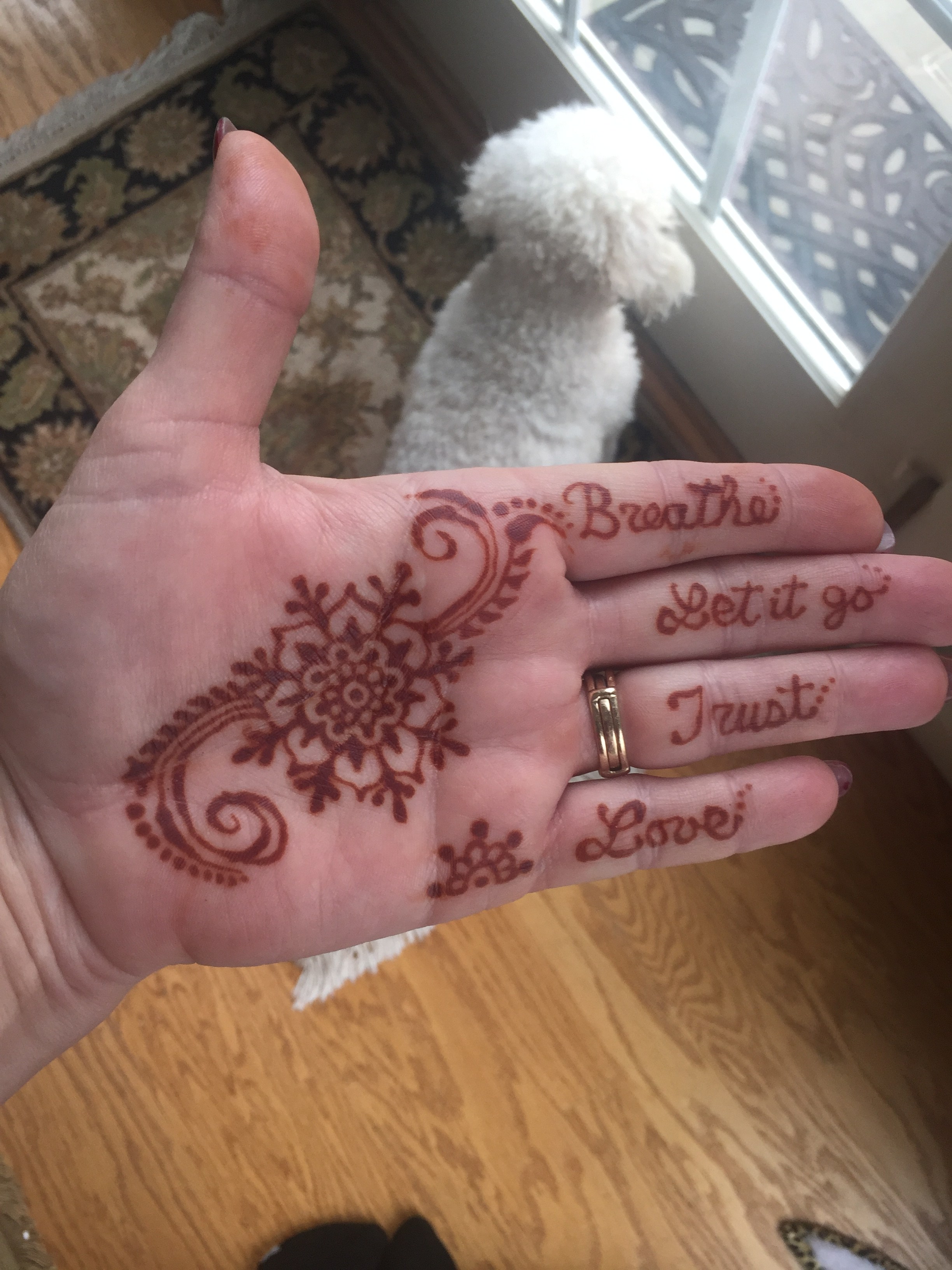 Color By Chris , Henna Tattoo Artists in NJ, in Park Ridge