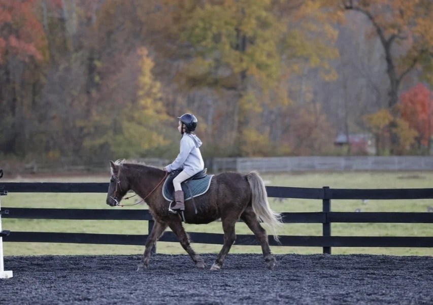 Seaton Hackney Stables, Horseback Riding in NJ, in Morristown, Morris