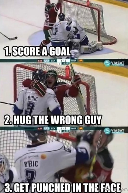 55 Amazing Hockey Memes