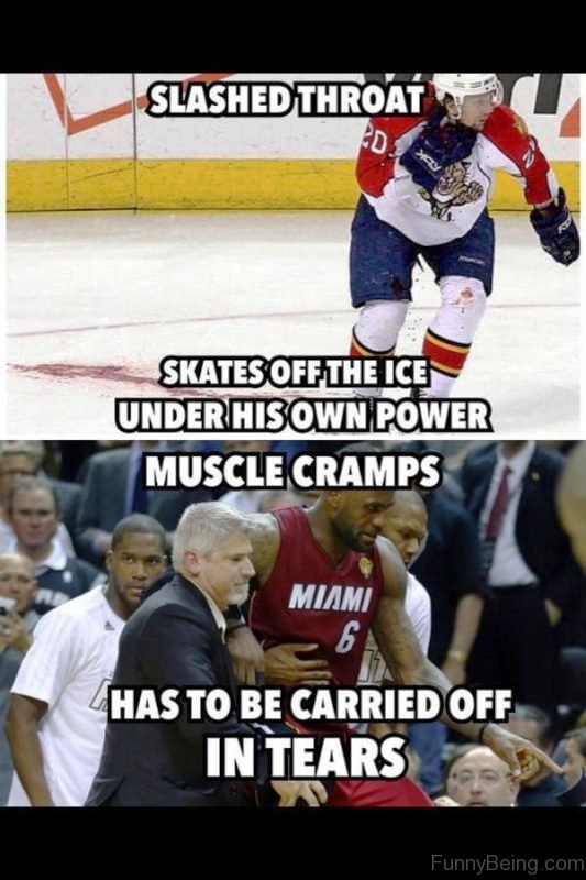 55 Amazing Hockey Memes