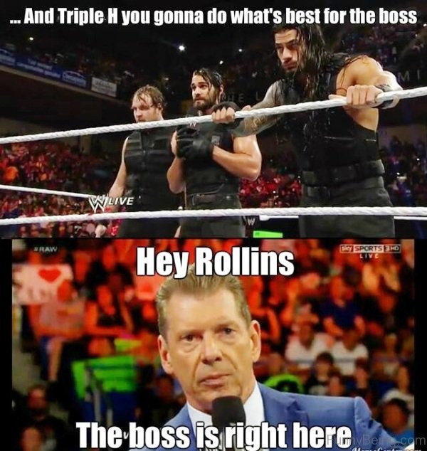 50 Funny WWE Memes