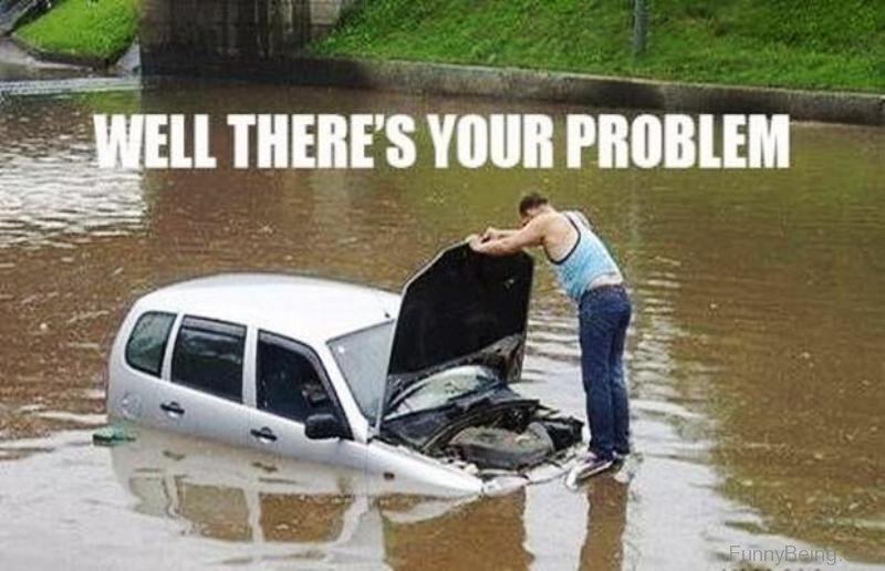 51 Best Car Memes