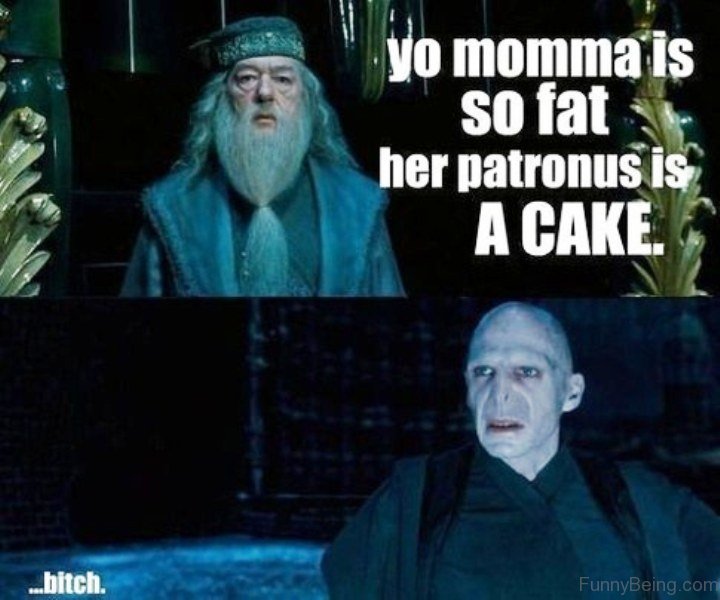 52 Top Harry Potter Memes