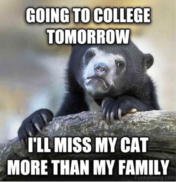 63 Cool College Memes