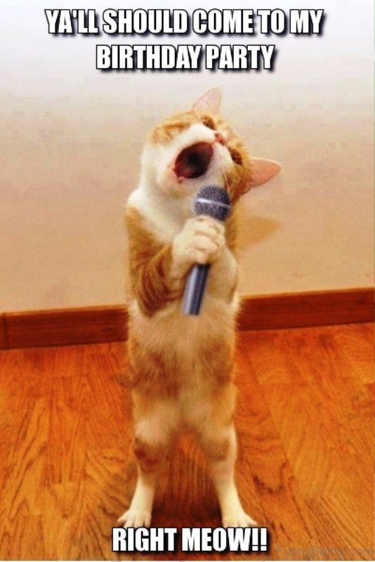 50 Most Funny Party Memes 50 Most Funny Party Memes