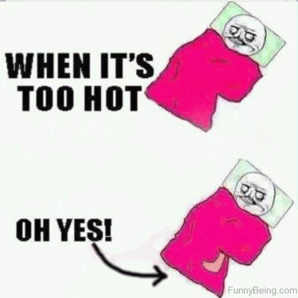 101 Great Funny Lol Memes