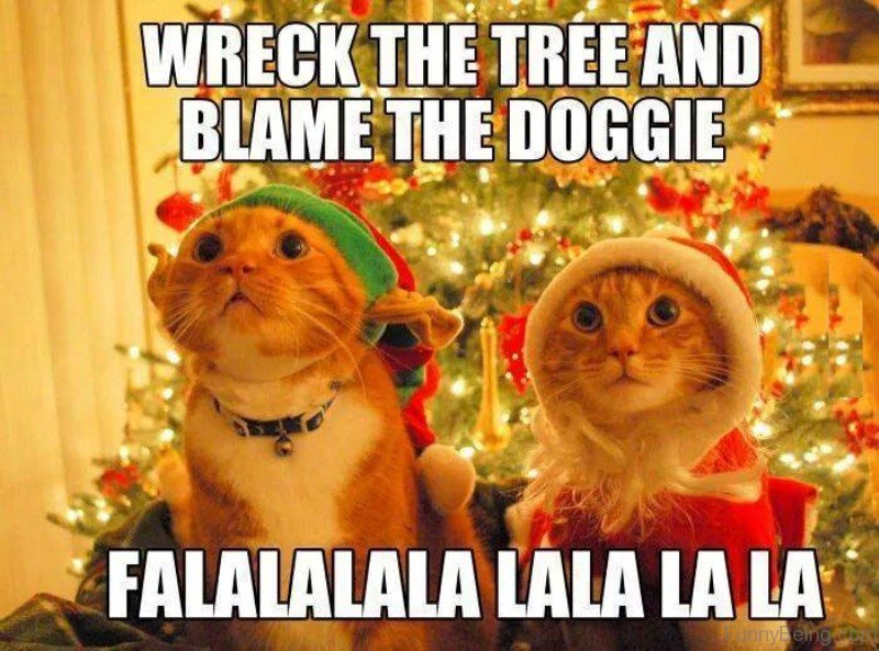 80 Best Funny Christmas Memes