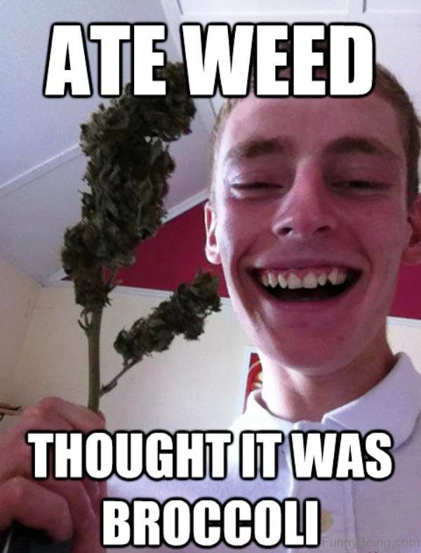 80 Funny Weed Memes