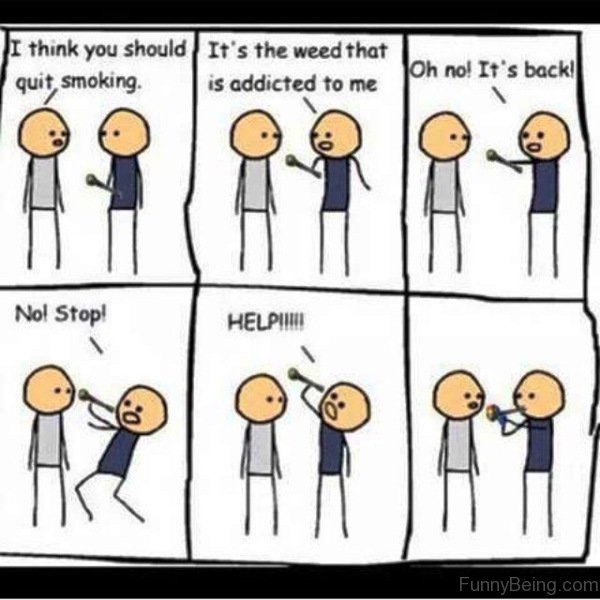 80 Funny Weed Memes