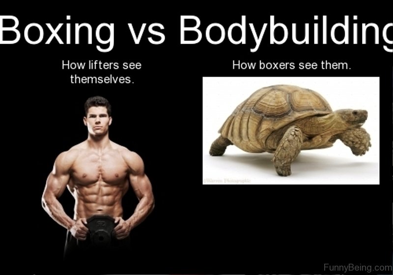 70 Boxing Memes For You