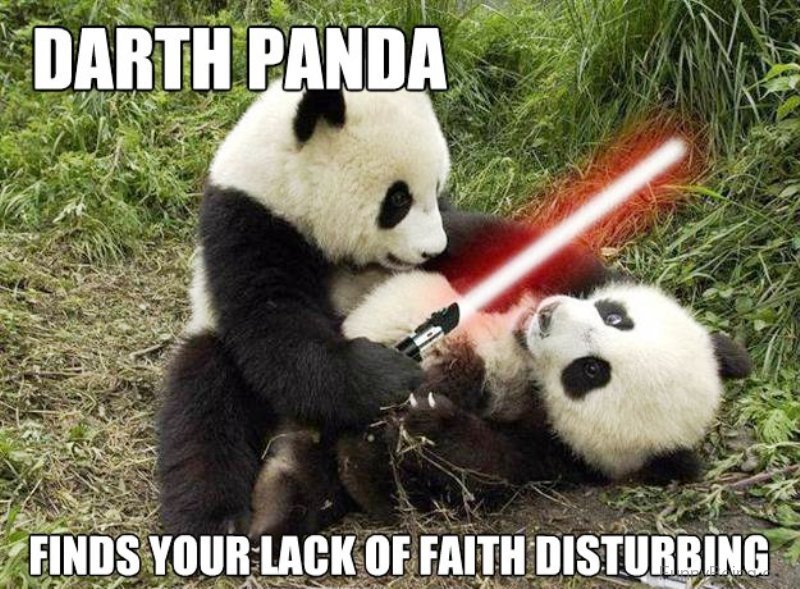 80 Cute Panda Memes