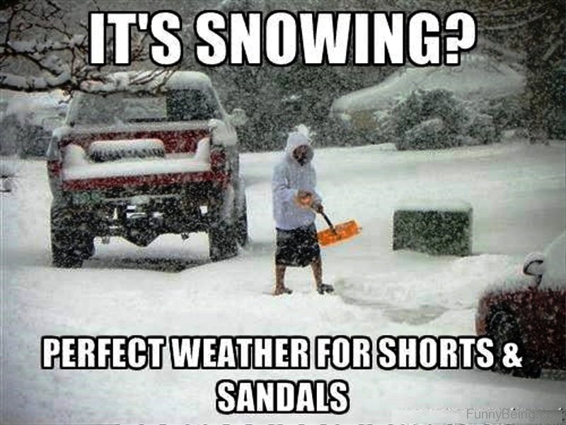 80 Super Cool Winter Memes