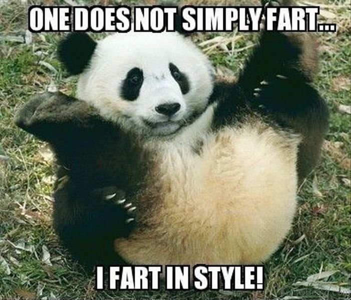 84 Stupid Panda Memes