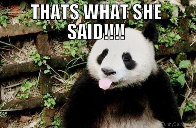 84 Stupid Panda Memes