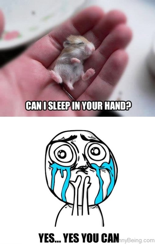 50 Weird Sleep Memes
