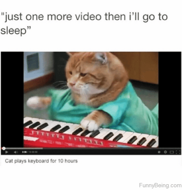 70 Most Awesome Sleep Memes