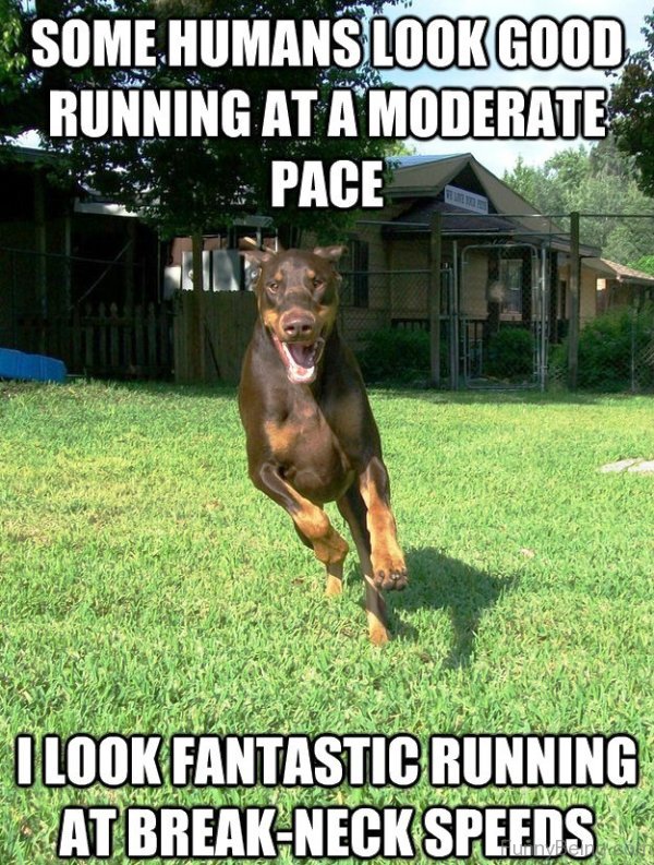 98 Superb Running Memes Pictures
