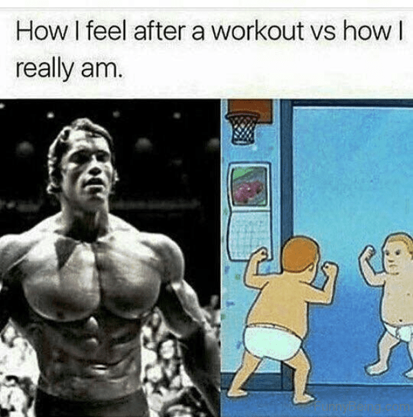 20 Stupid Bodybuilding Memes