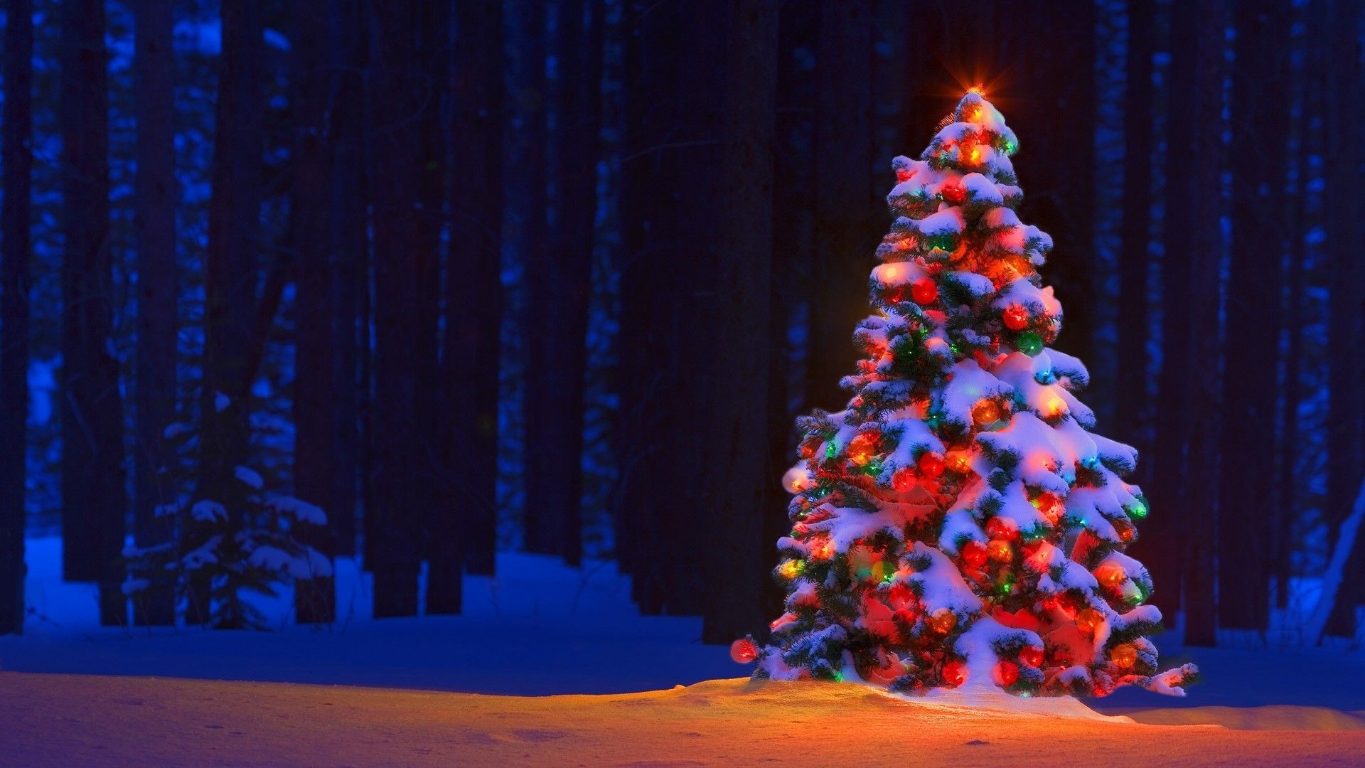 30+ Festive Christmas Tree Meeting Backgrounds for Zoom & Teams Funny