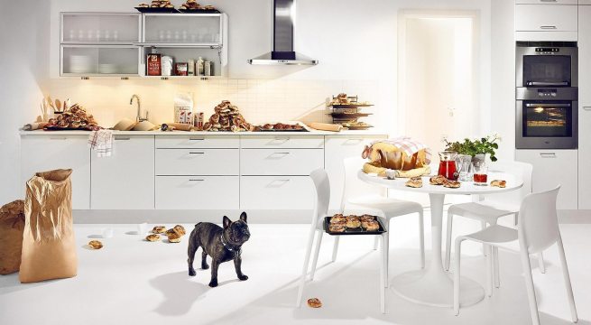 8 Reasons Why I Don't Allow My Dogs In The Kitchen Dog Trainer LA