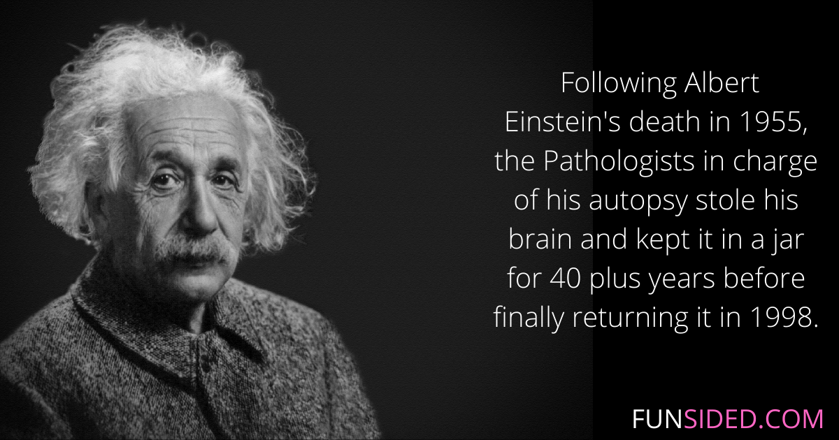 61 Fun and Surprising Albert Einstein Facts FunSided